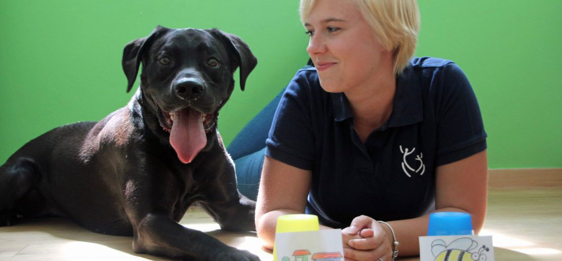 Therapiehund Pacco Promnitz Physiotherapie