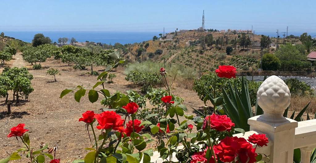 NEWS-BEITRAG-Yoga_Retreat_Andalusien mit Ilse Promnitz